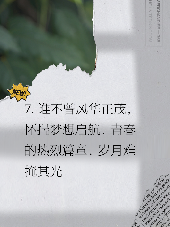 壮志凌云支撑青春，能力荣誉同在目前